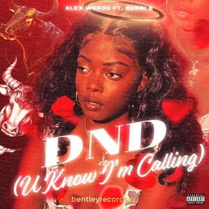 DND (U Know I'm Callin') (Remix) [Explicit]