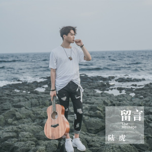 留言 (我爱你版) - 陆虎封面