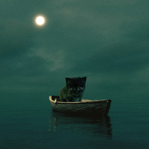 Несчастным быть прикольно