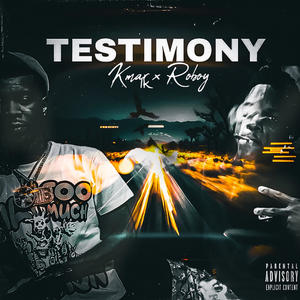 Testimony (feat. Roboy) [Explicit]