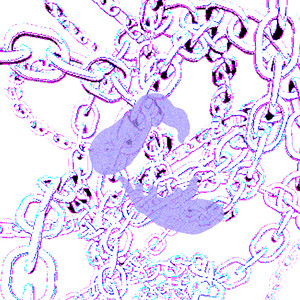 MODEL (grab a sawed-off) (Explicit)