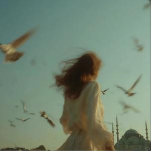 七月七日晴 (遗憾版)