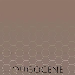 Oligocene