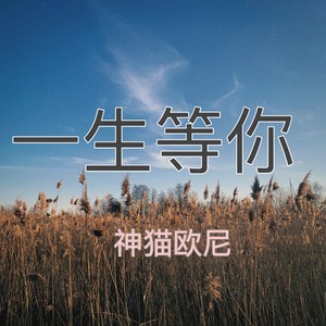 一生等你