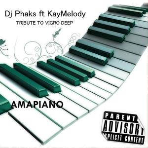 Tribute to vigro deep (KayMelody Remix Radio Edit)