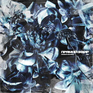 Прямой эфир(prod. by Concentracia)