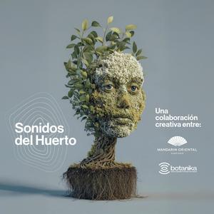 Pulso Bajo Tierra (Betarraga) | Pulse Beneath the Earth [Beetroot] (feat. Morell & Mandarin Oriental Santiago)