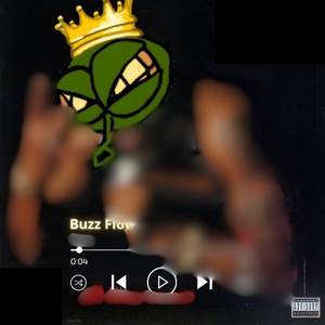 Buzz Flow (Explicit)