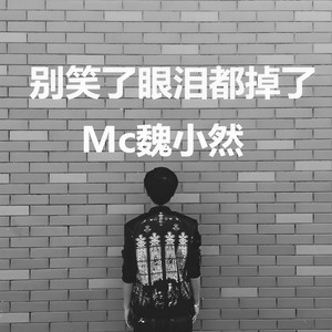别笑了眼泪都掉了封面