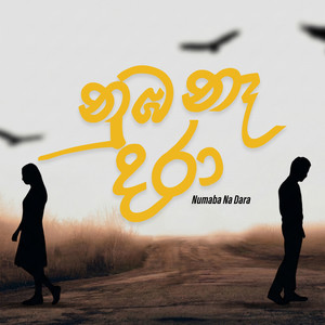 Numba Na Dara
