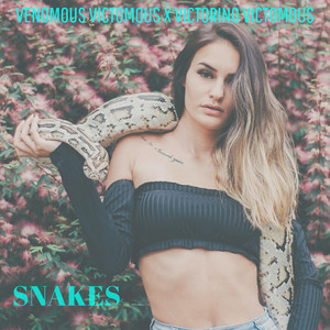 Snakes