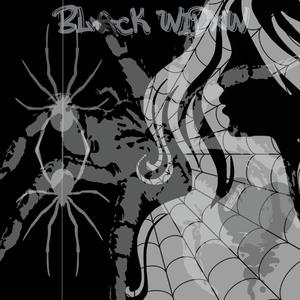 Black Wxdow(feat. theskybeats)