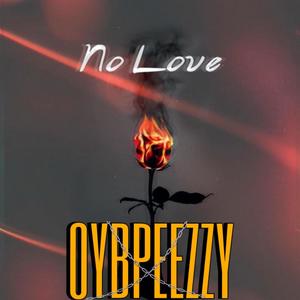 NO LOVE ... (Explicit)