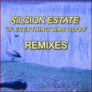 If Everything Was Good (Remixes)