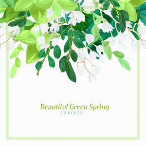 Beautiful Green Spring