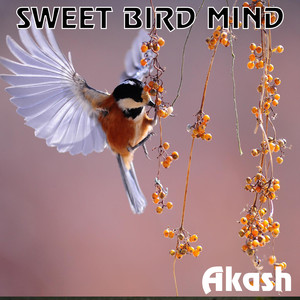 SWEET BIRD MIND