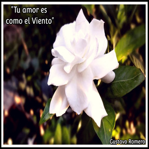 Tu Amor Es Como el Viento