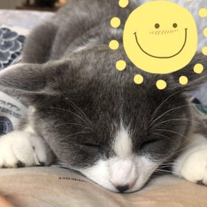 土不土不 (Bad Type)