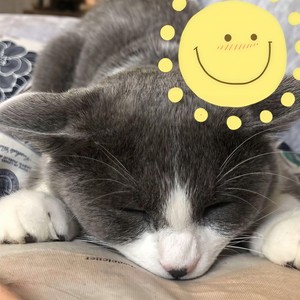 Eric920 - 土不土不 (Bad Type)