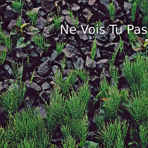 Ne Vois Tu Pas