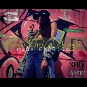 Musa Exótica (Explicit)