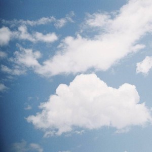 爱久见人心-一个柚子