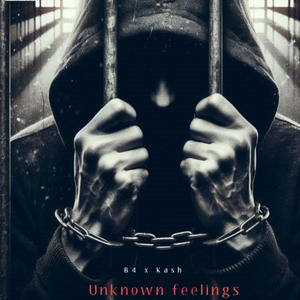 Unknown feelings (feat. Kash) (Explicit)