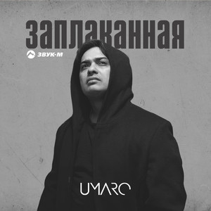 Заплаканная
