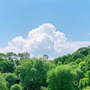 The Neglected Feeling