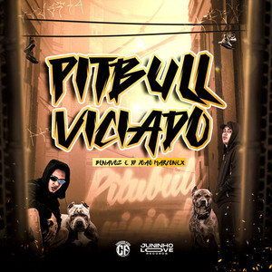 Pitbull Viciado (Explicit)