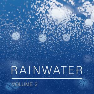 Rainwater, Vol. 2