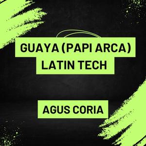 Guaya papi arca