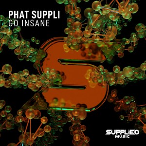 Go Insane (Radio Edit)