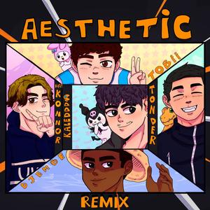 Aesthetic (feat. hi!Konnor, IZKE, Djembe & TONDER) [Remix]