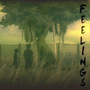 Feelings