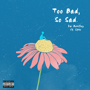 Too Bad, So Sad. (Explicit)