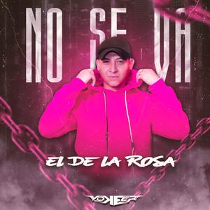No se va (Sandungueo) (El de la Rosa Remix)