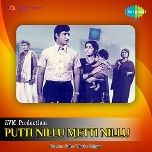 Puttinillu Metti Nillu