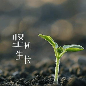 坚韧生长 (伴奏)