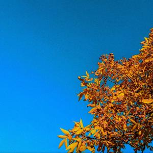 summers gone and so are you