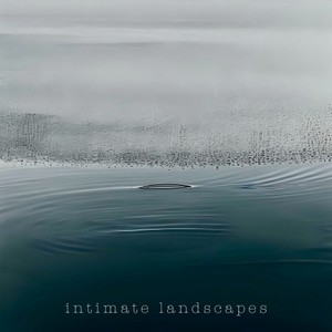 Intimate Landscapes