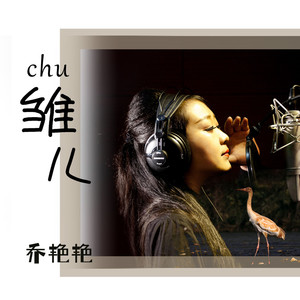 雏儿 (DJ沈念版) - 乔艳艳封面