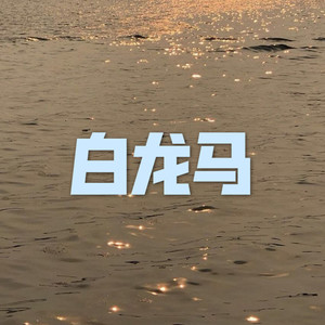 口袋宝贝