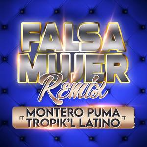 Falsa Mujer (Remix)