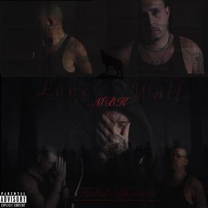 Faded Silhouette (Explicit)