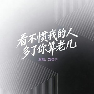 看不惯我的人多了你算老几 (伴奏)