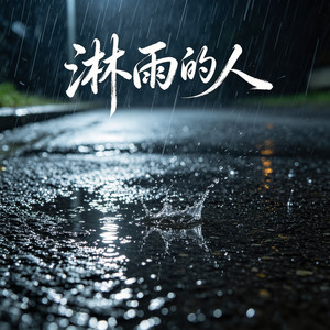淋雨的人 (DJ版)