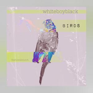 BIRDS (feat. WhIteBoyBlack) [Radio Edit]