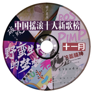中国摇滚十大新歌榜丨十一月