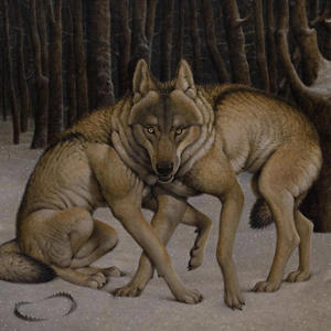 Spider Tit (feat. Tsoko) (Explicit)